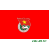 Danh sách phát triển Đoàn viên các lớp Khối 9 (nạm học 2024 - 2025)